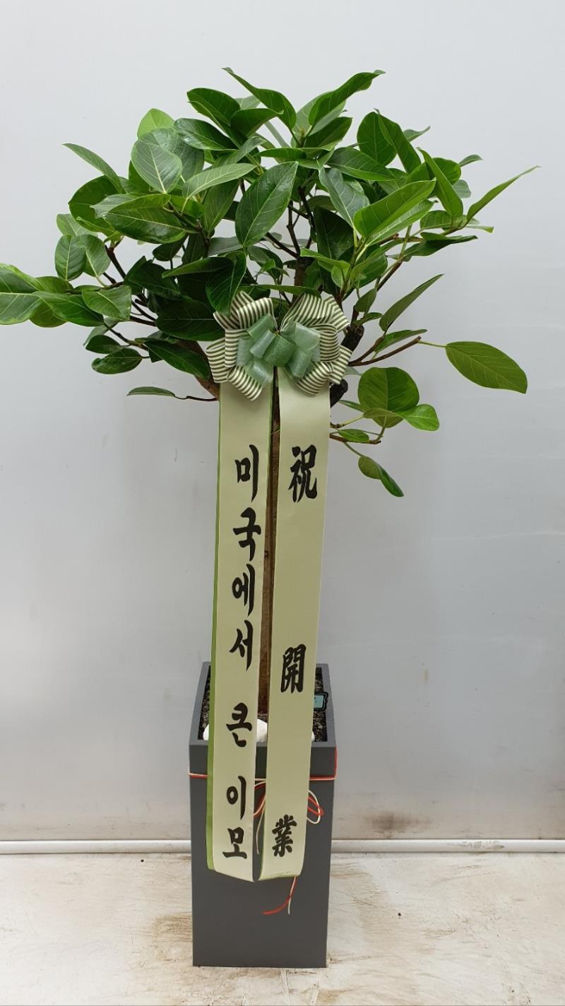 배송사진2