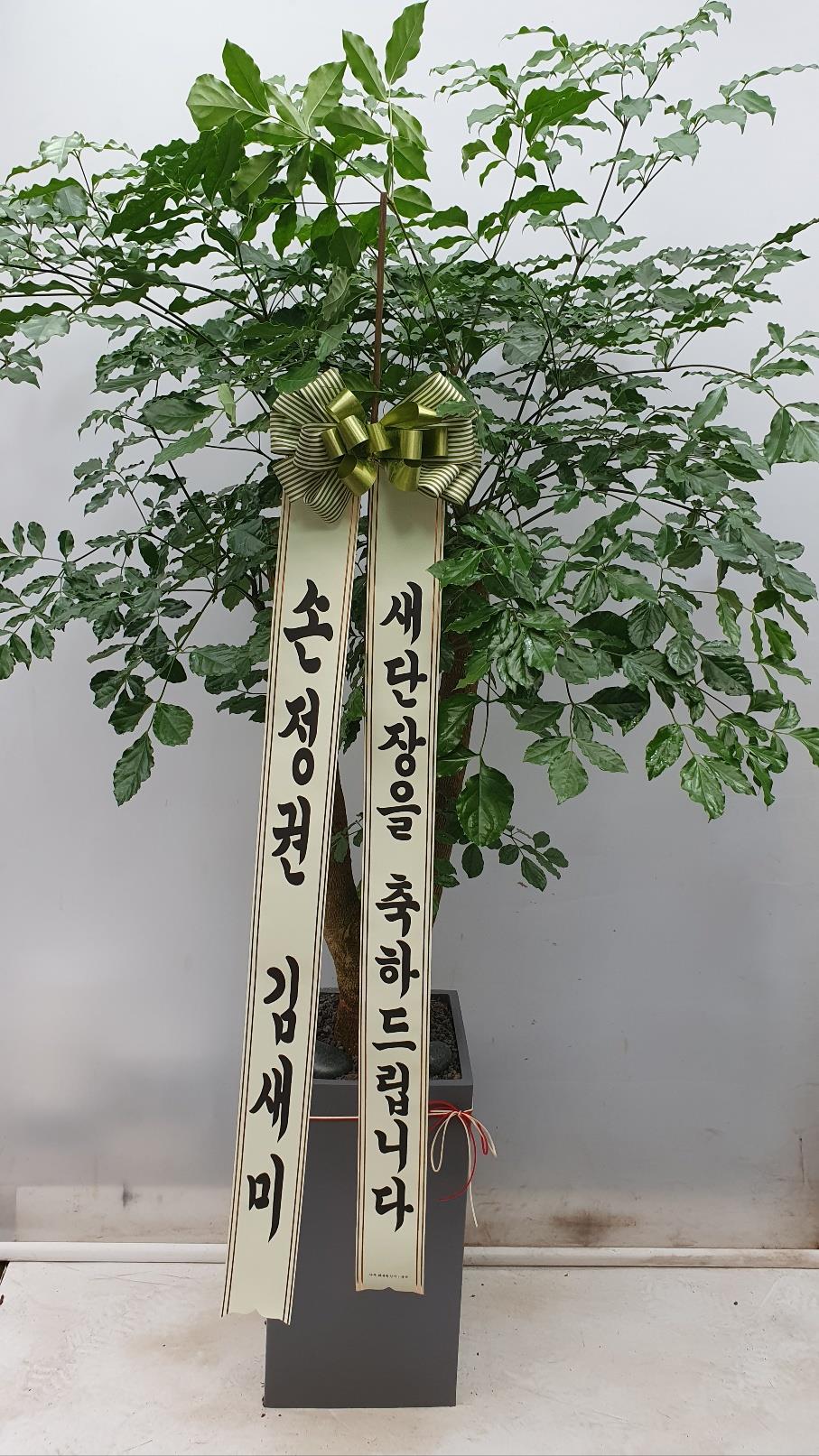 배송사진2