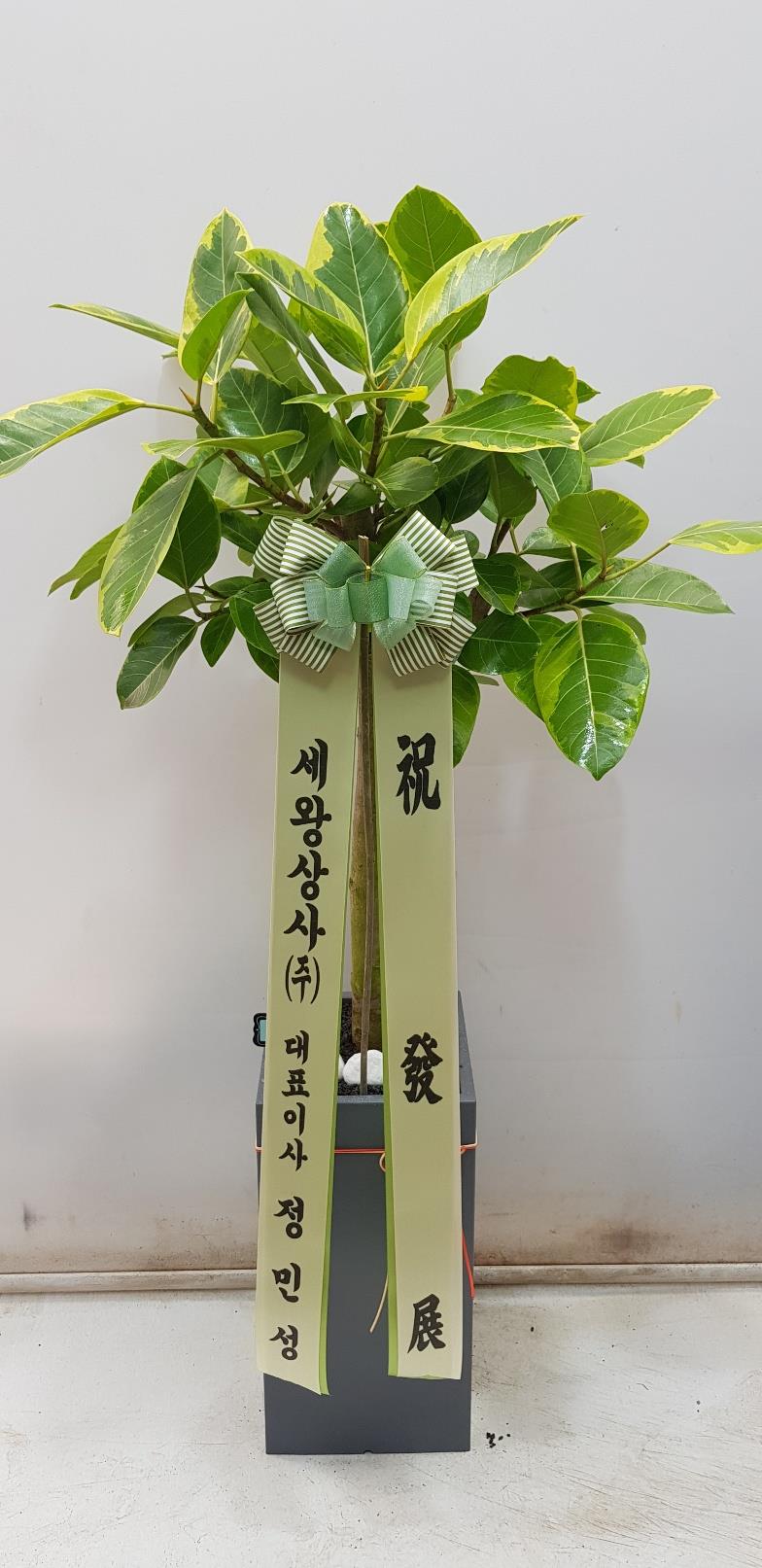 배송사진