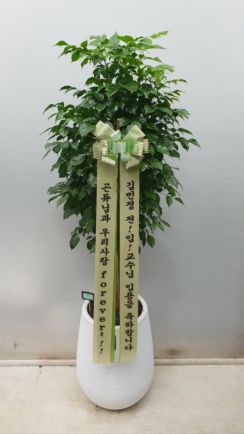 배송사진2