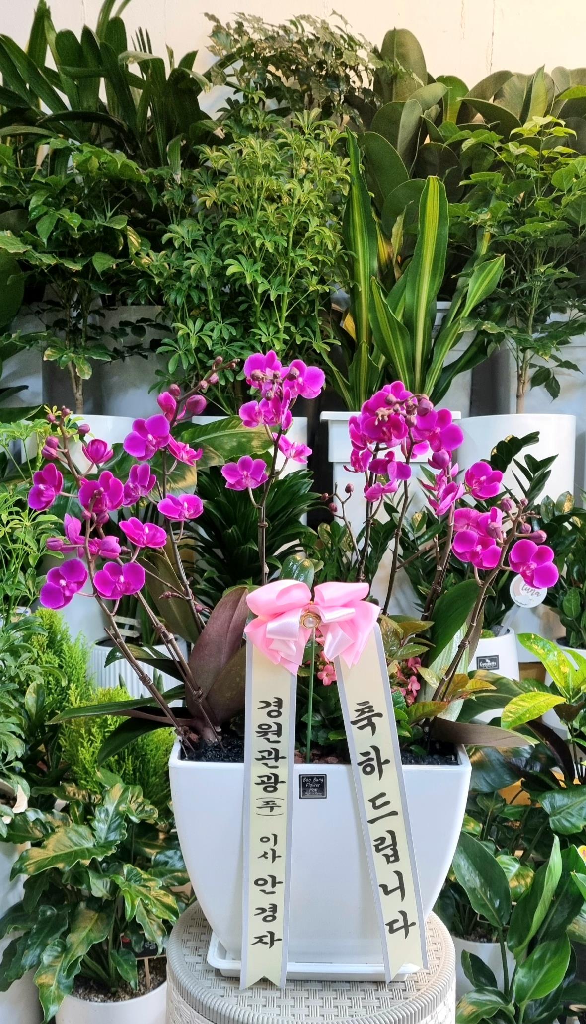배송사진
