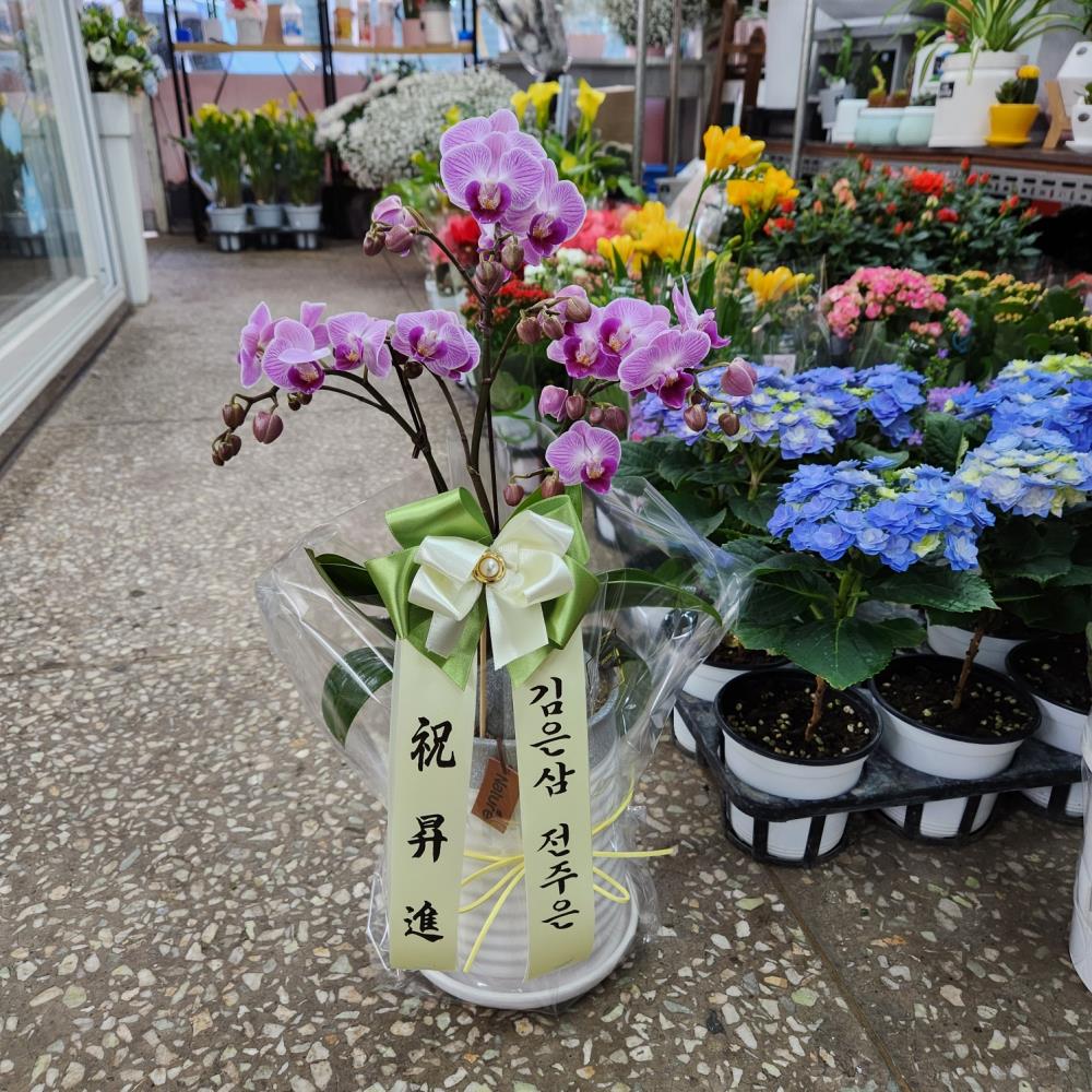 배송사진