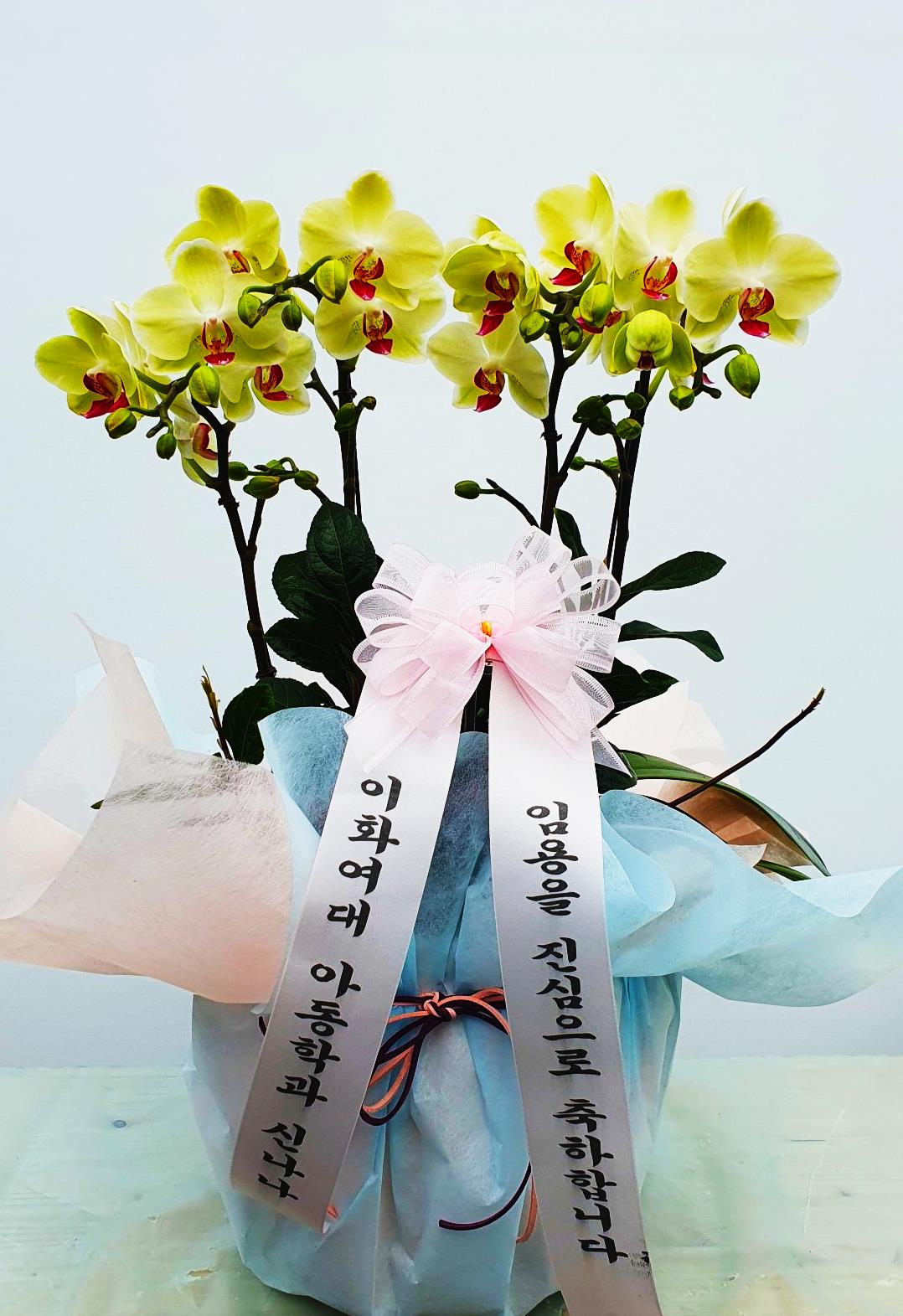배송사진2