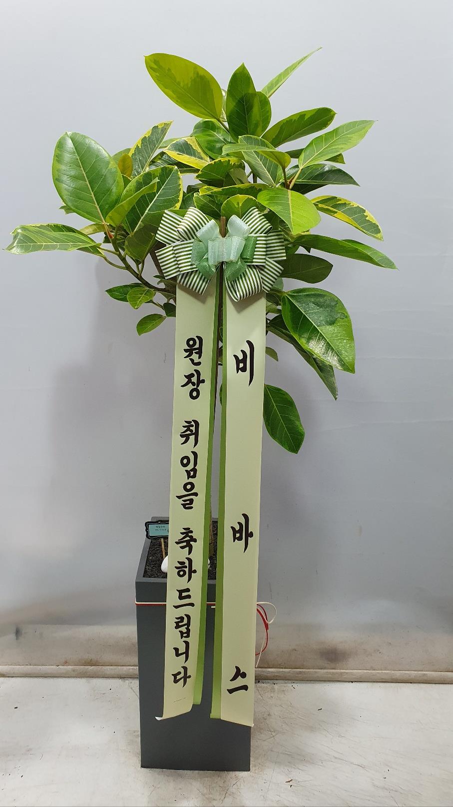 배송사진2