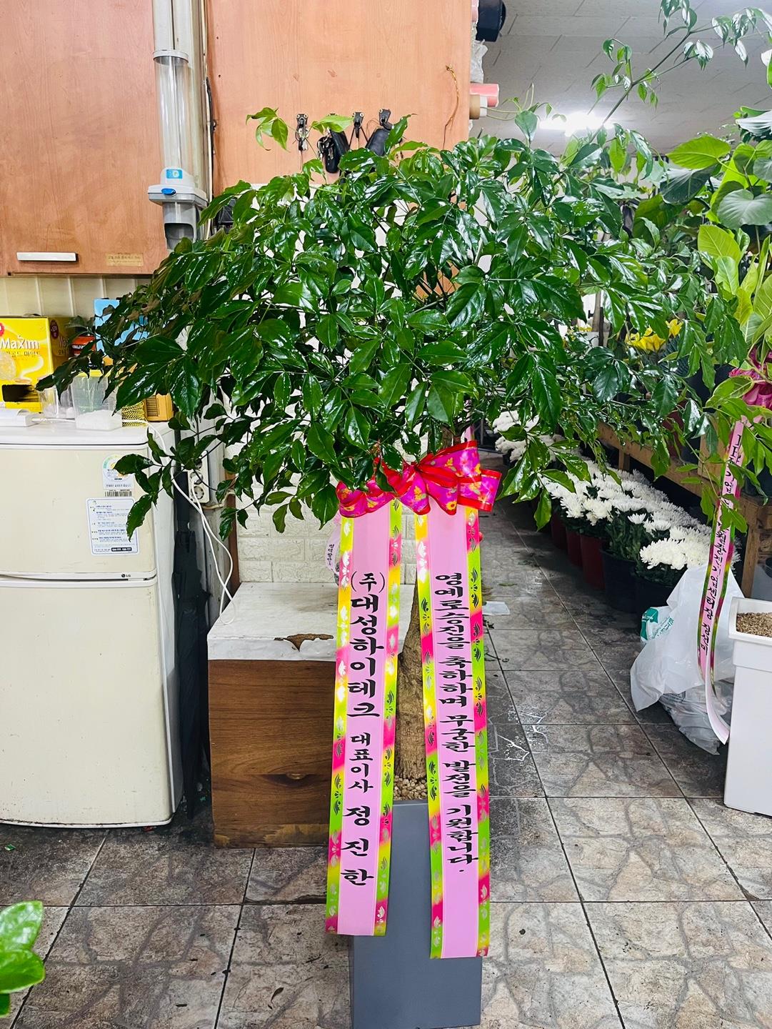 배송사진2