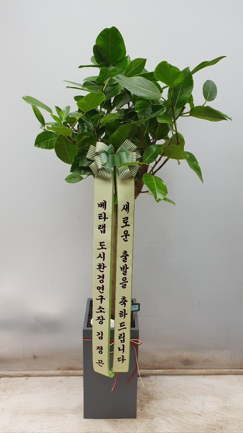 배송사진2