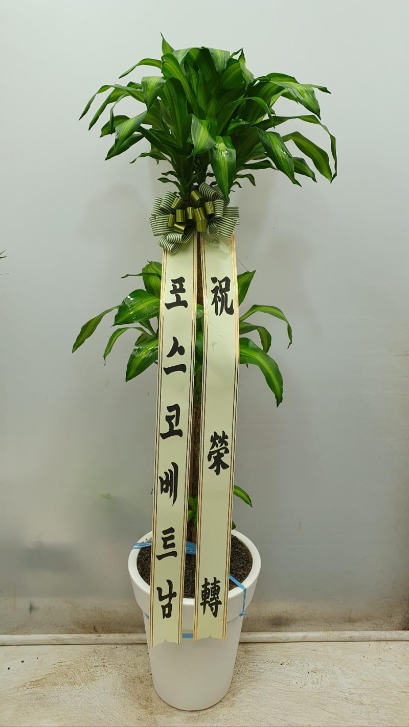 배송사진2