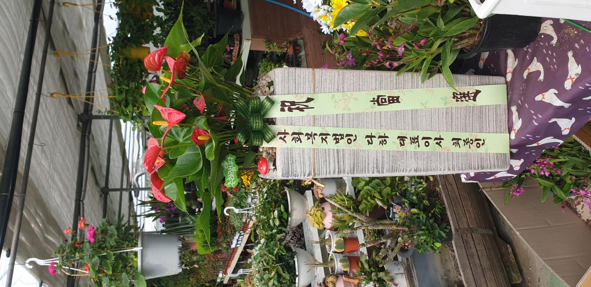 배송사진