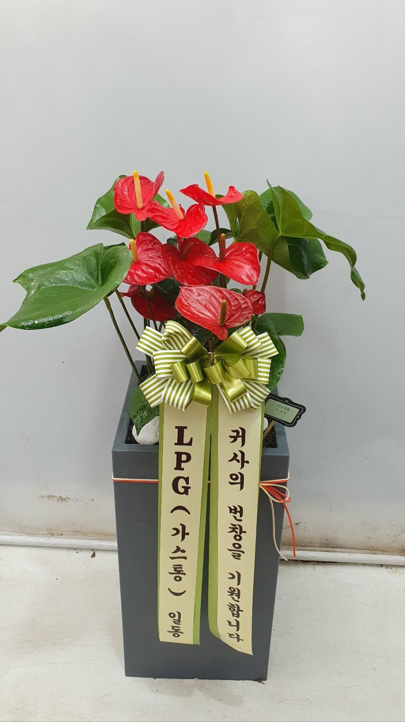 배송사진