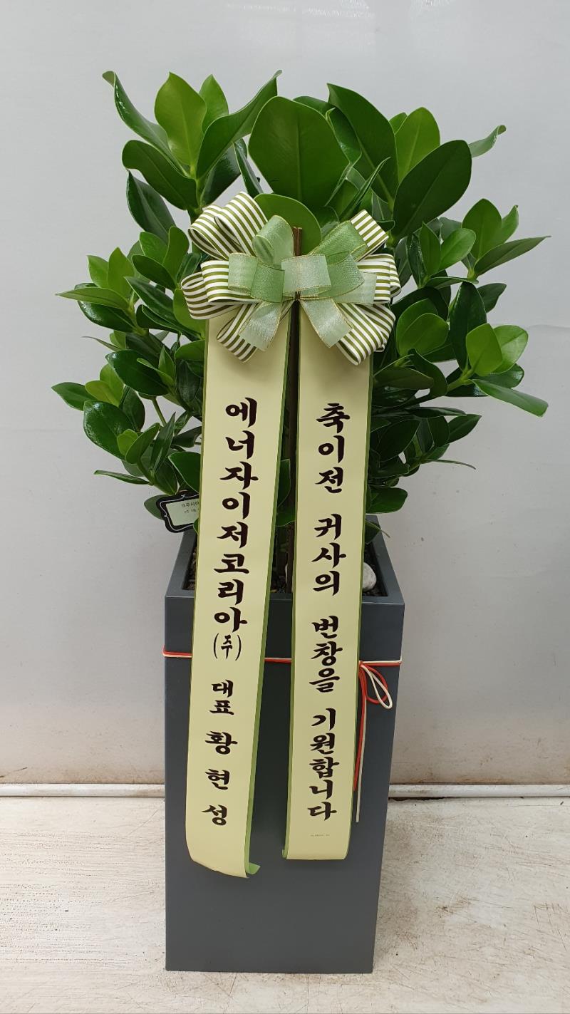 배송사진