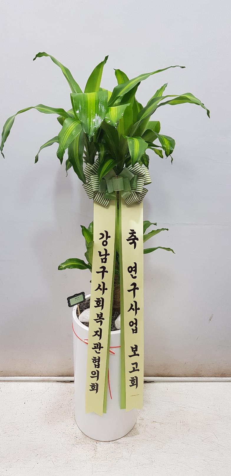 배송사진2
