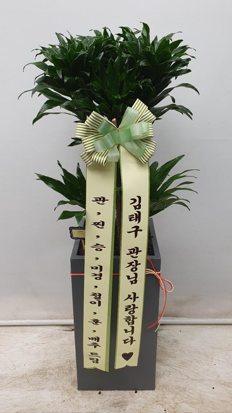배송사진2