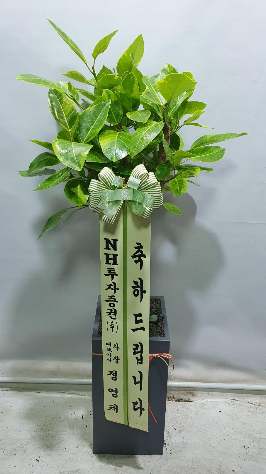 배송사진2