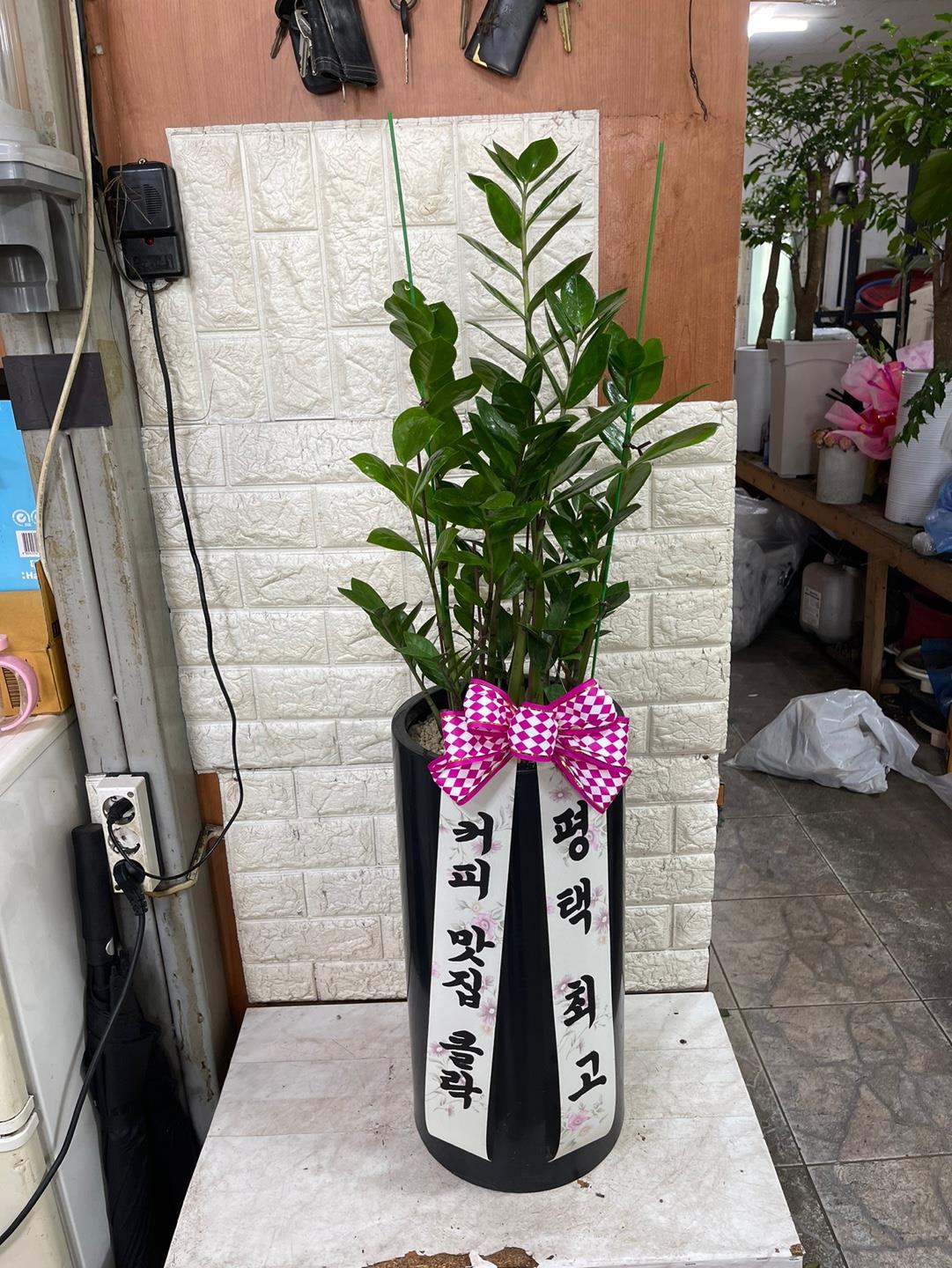 배송사진