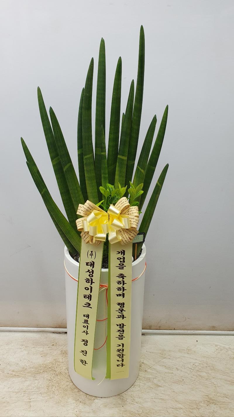 배송사진2