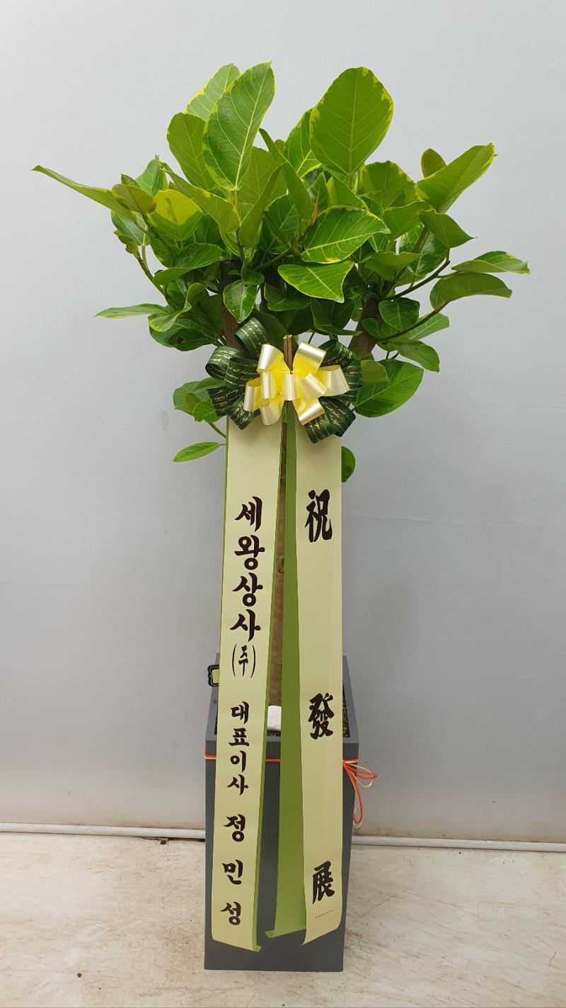 배송사진2
