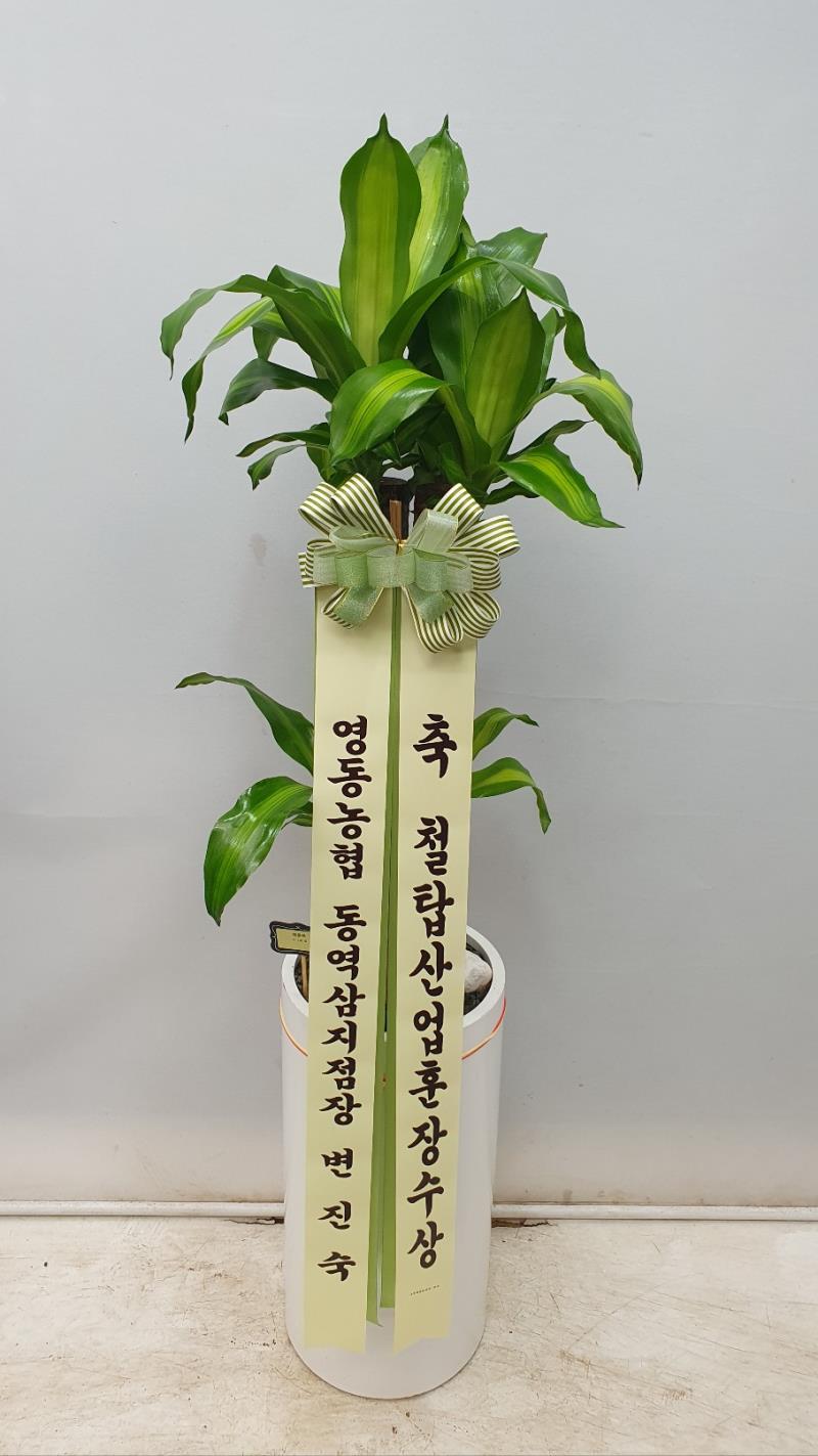 배송사진2