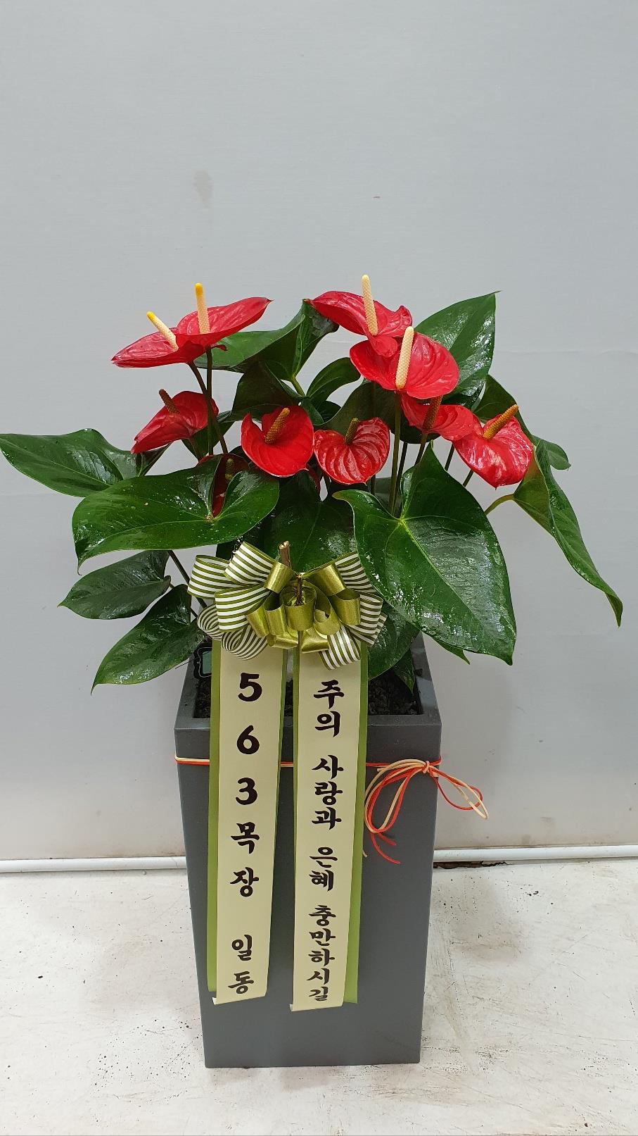 배송사진2