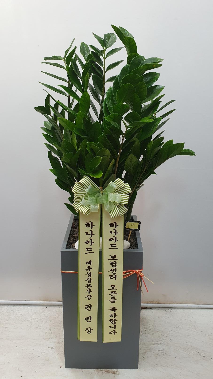 배송사진2