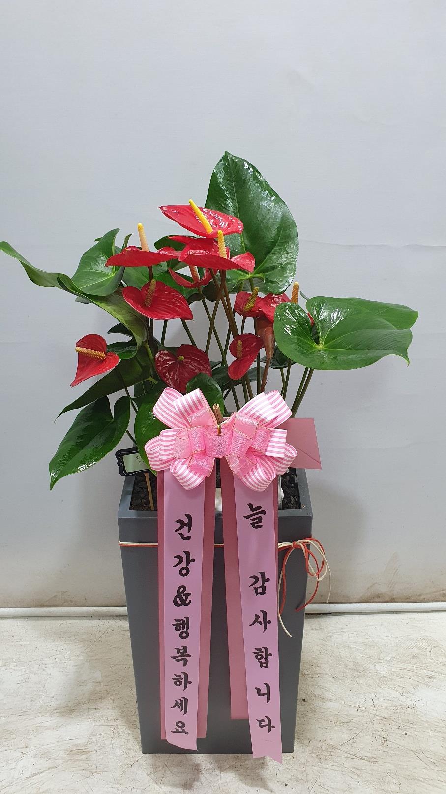 배송사진2