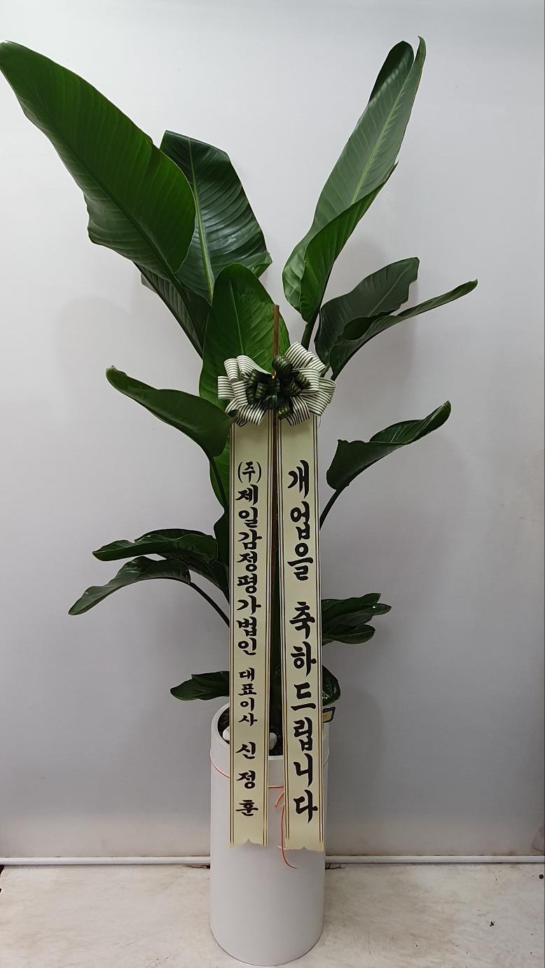 배송사진2