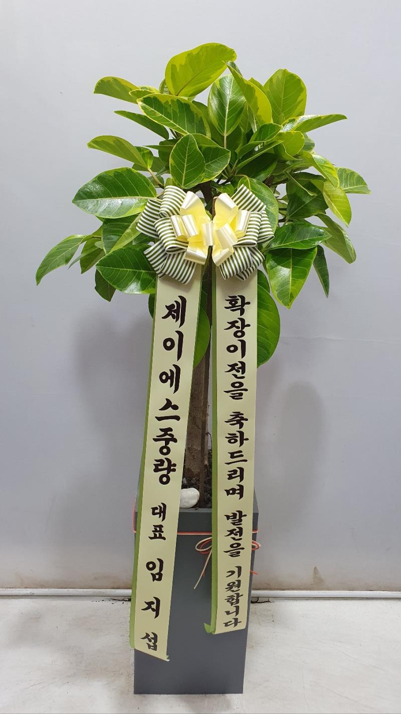 배송사진