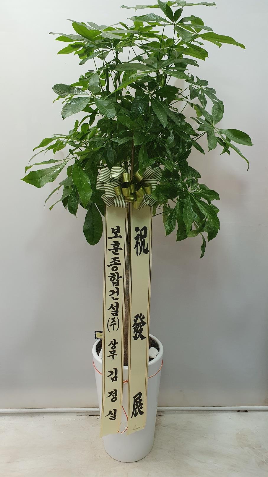 배송사진2