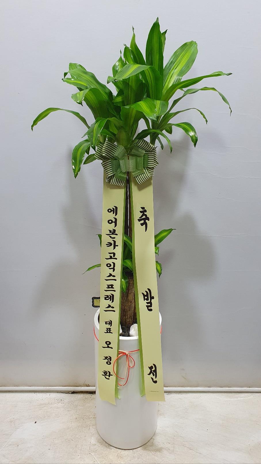 배송사진2