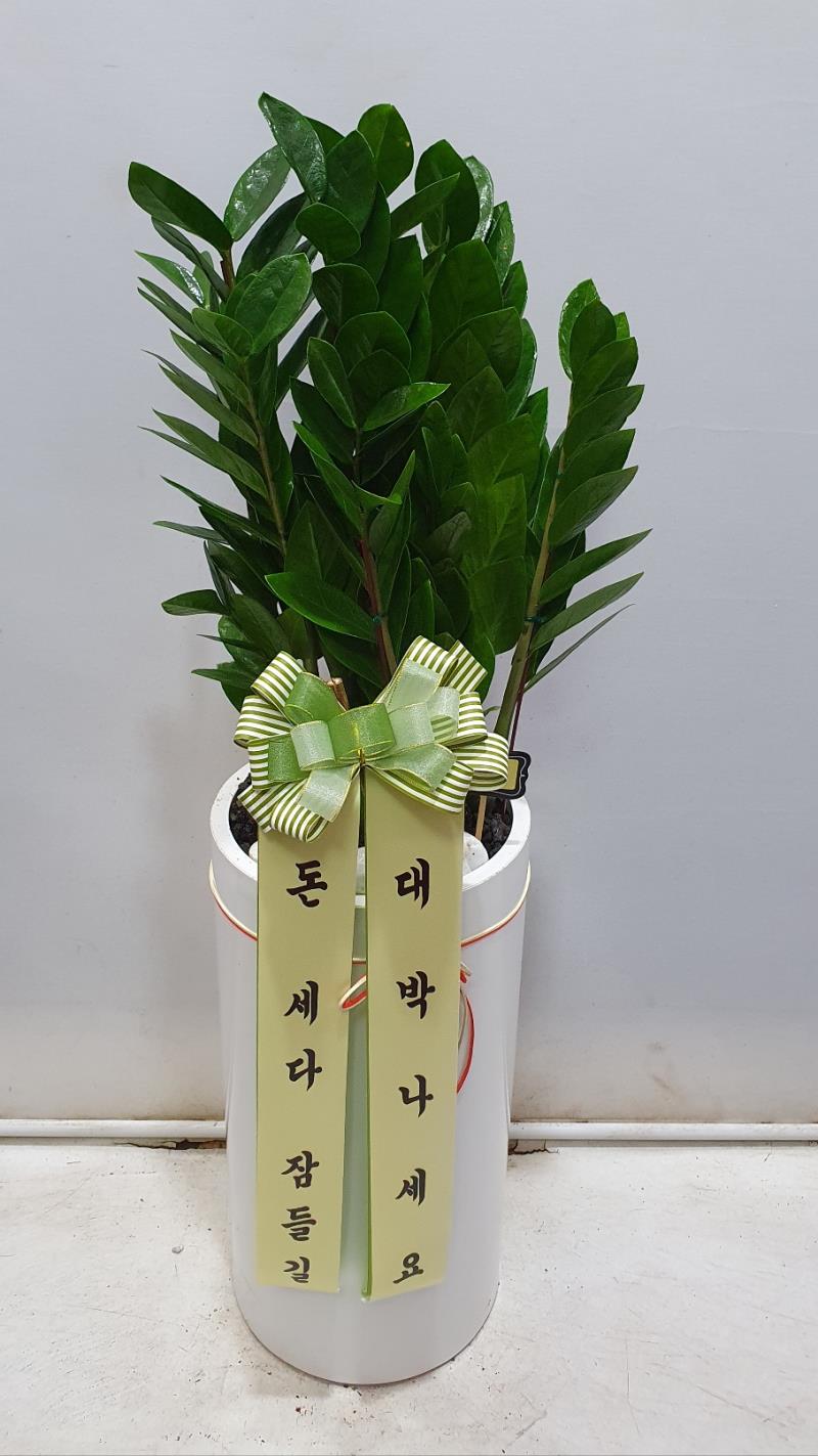 배송사진2