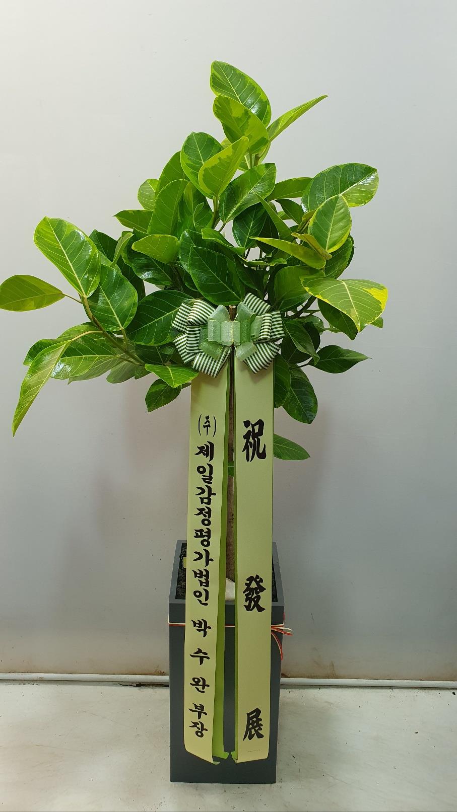 배송사진2