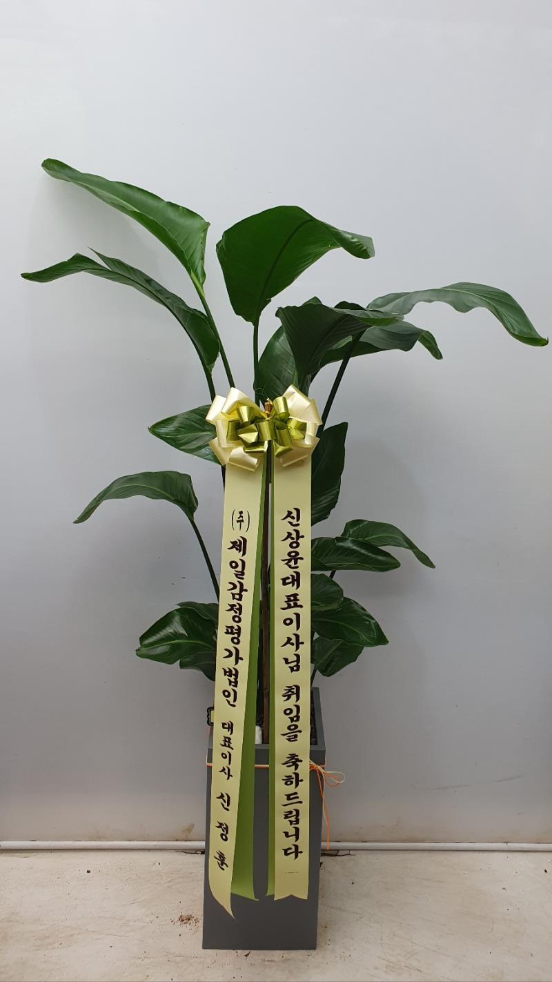 배송사진2