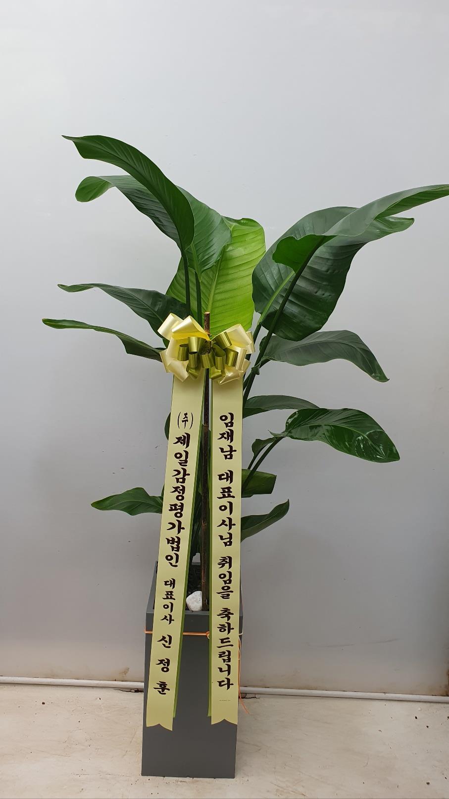 배송사진2