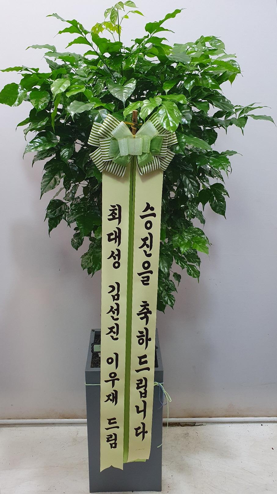 배송사진2
