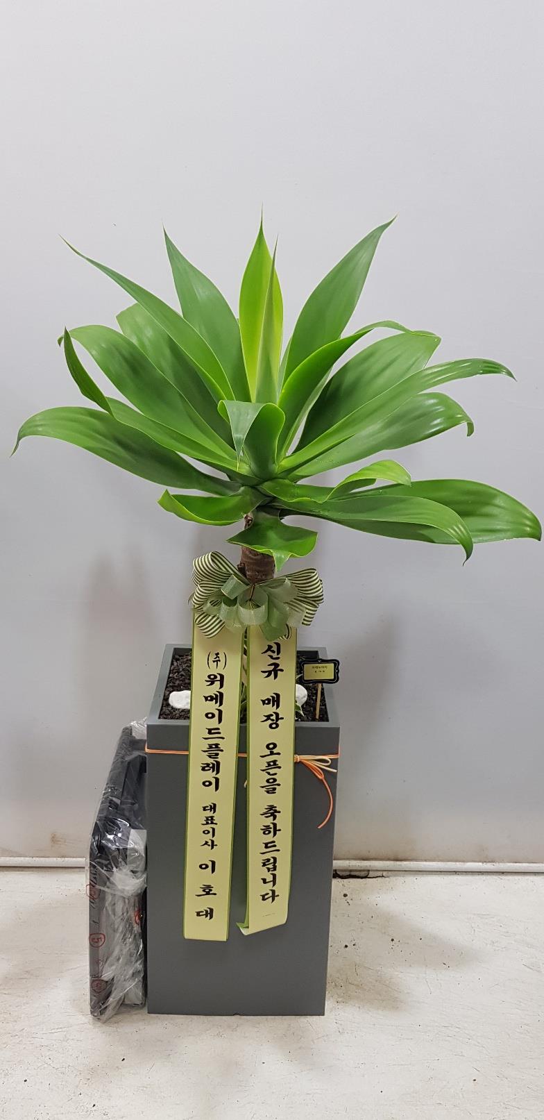 배송사진