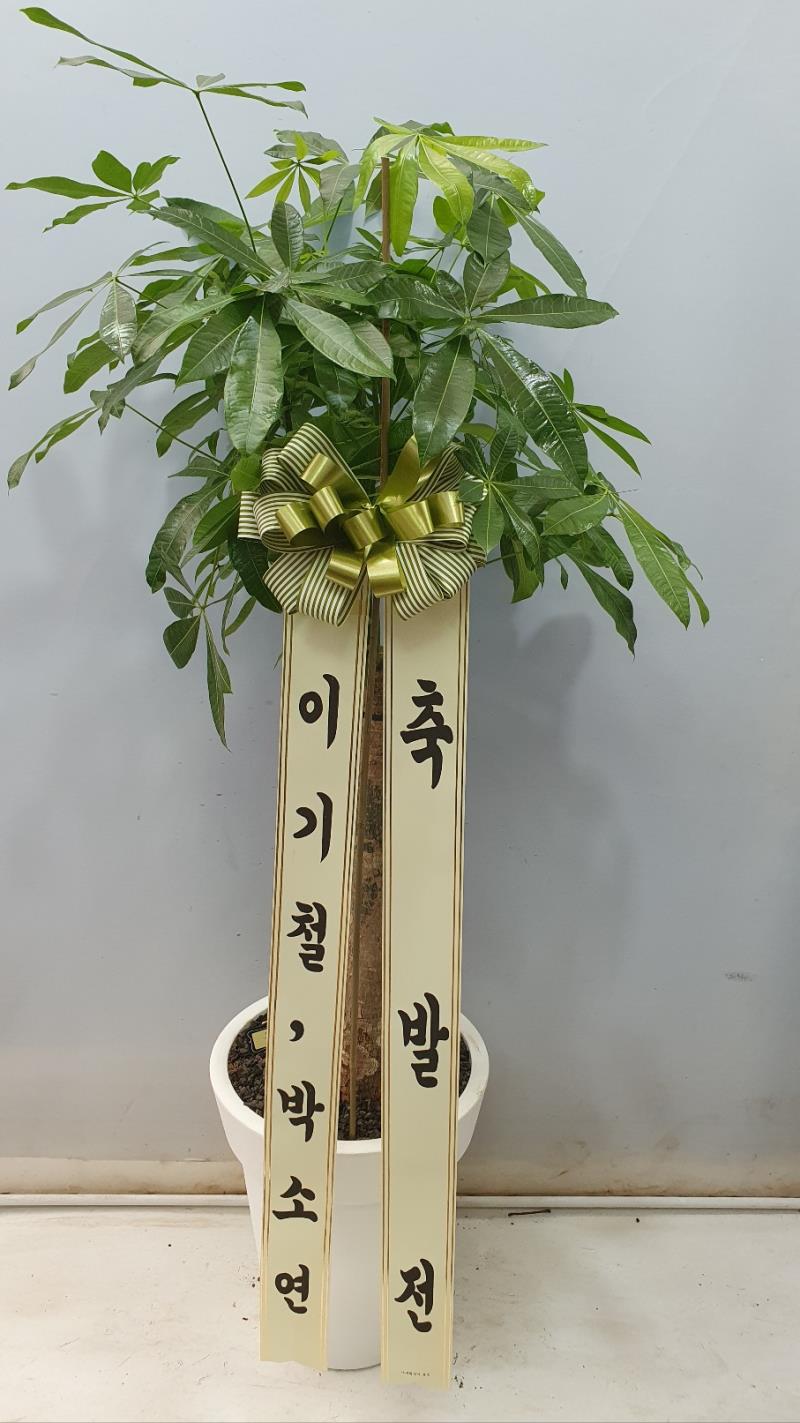 배송사진2