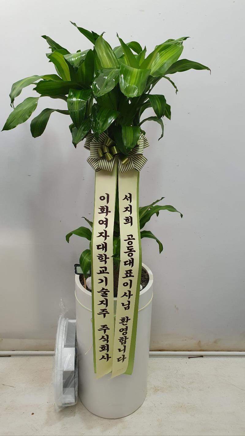 배송사진2