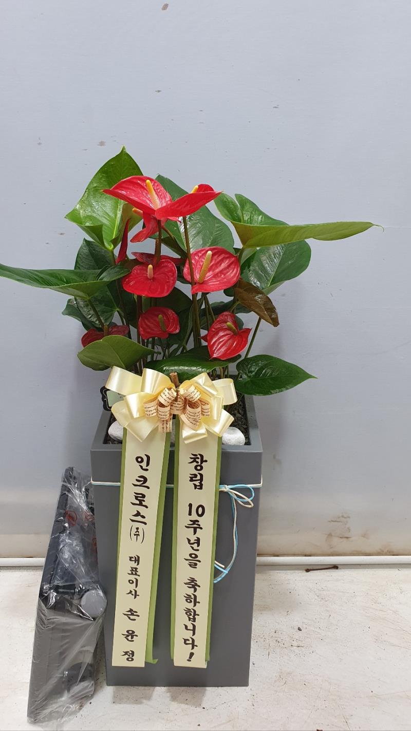 배송사진
