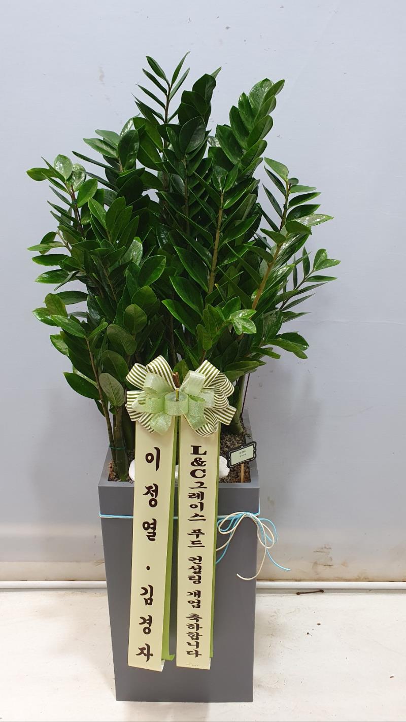 배송사진2