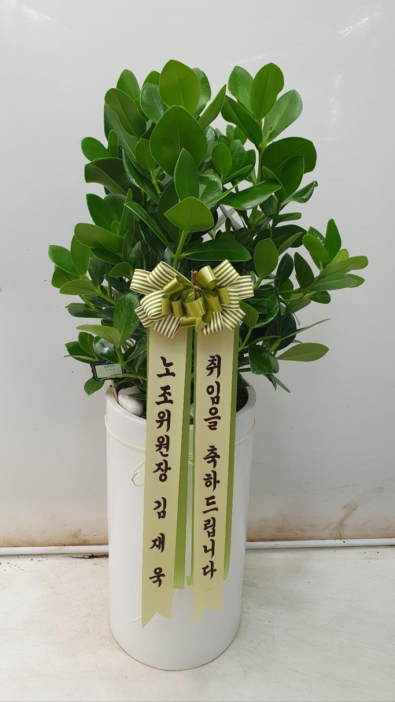 배송사진2