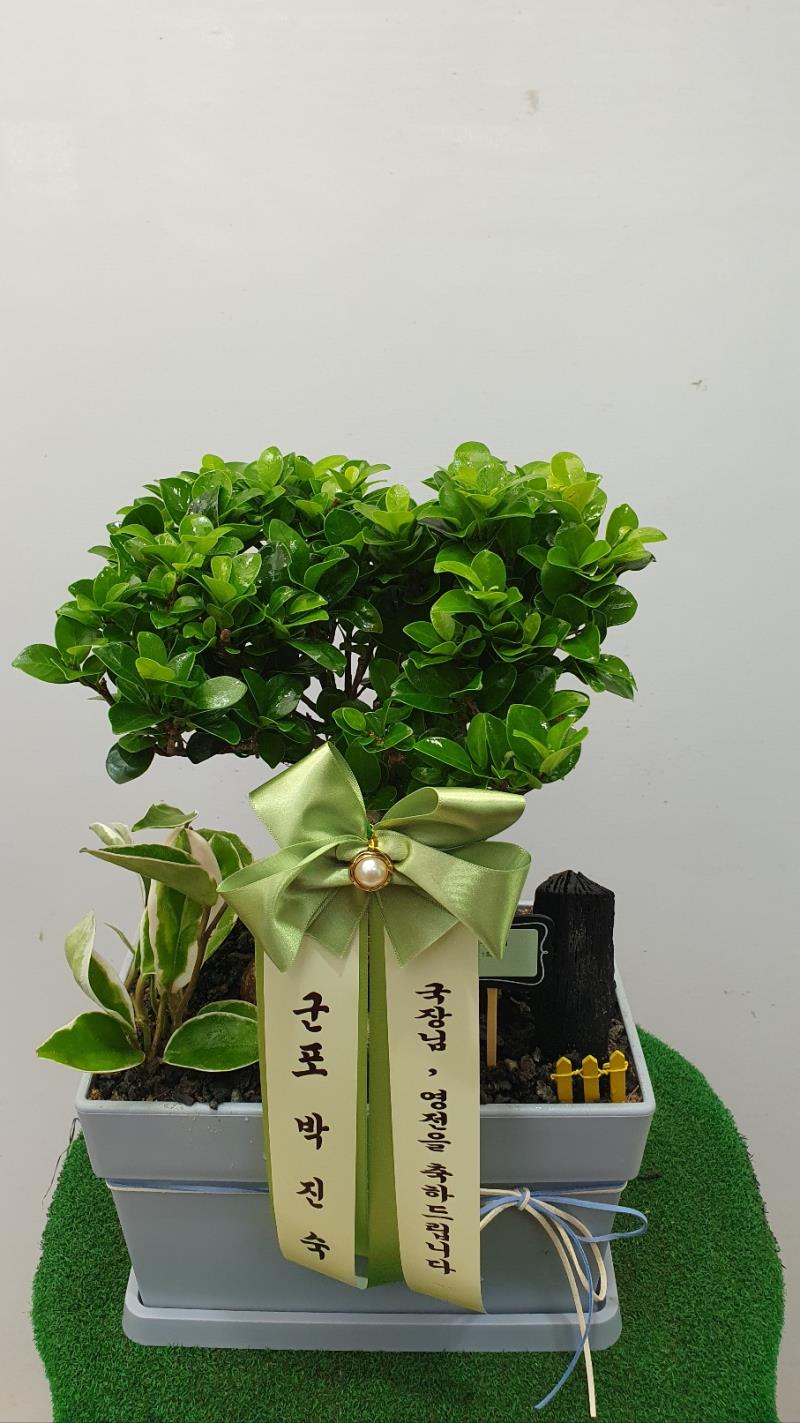 배송사진