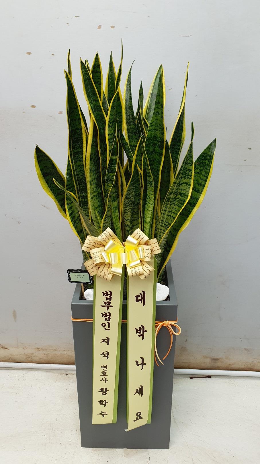 배송사진2