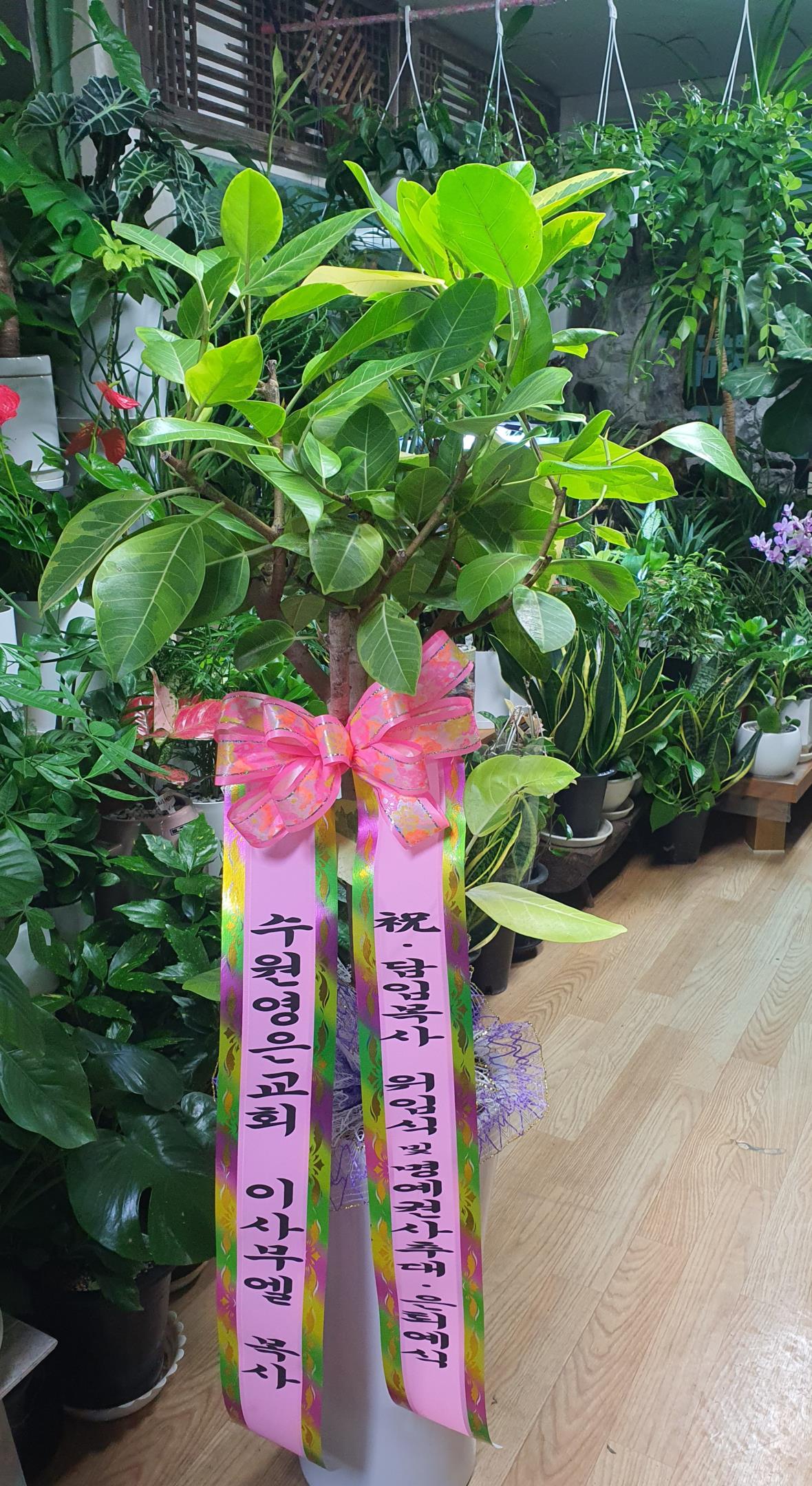 배송사진
