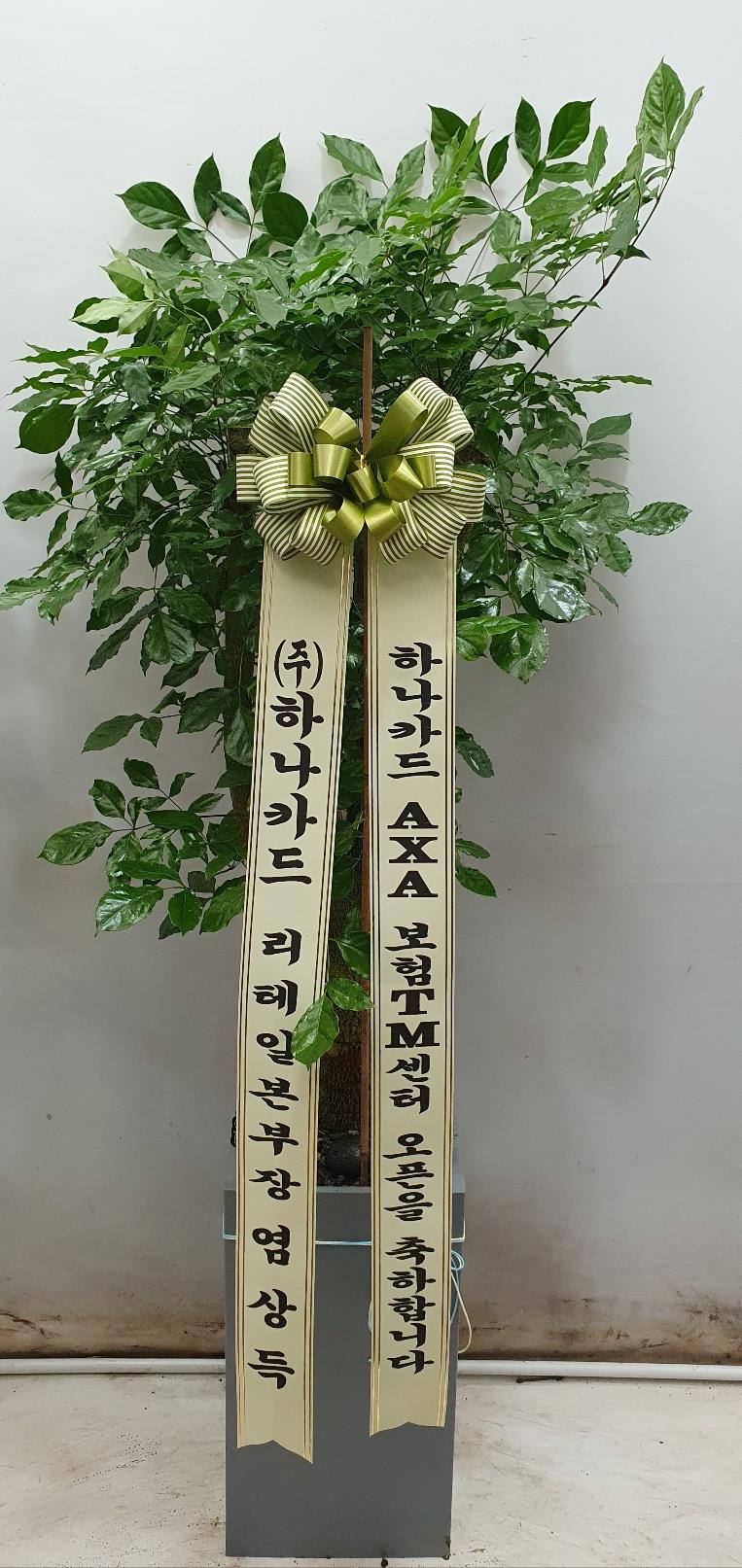 배송사진2