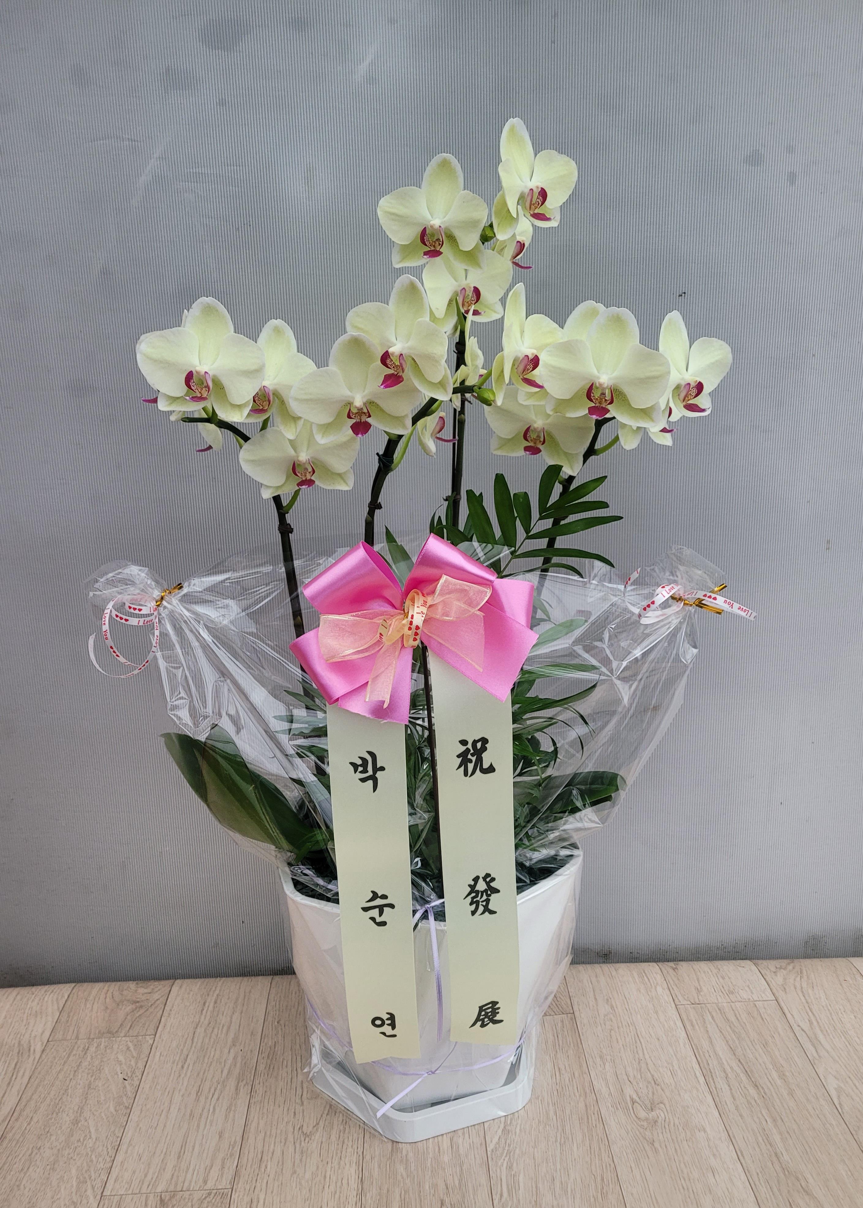 배송사진2