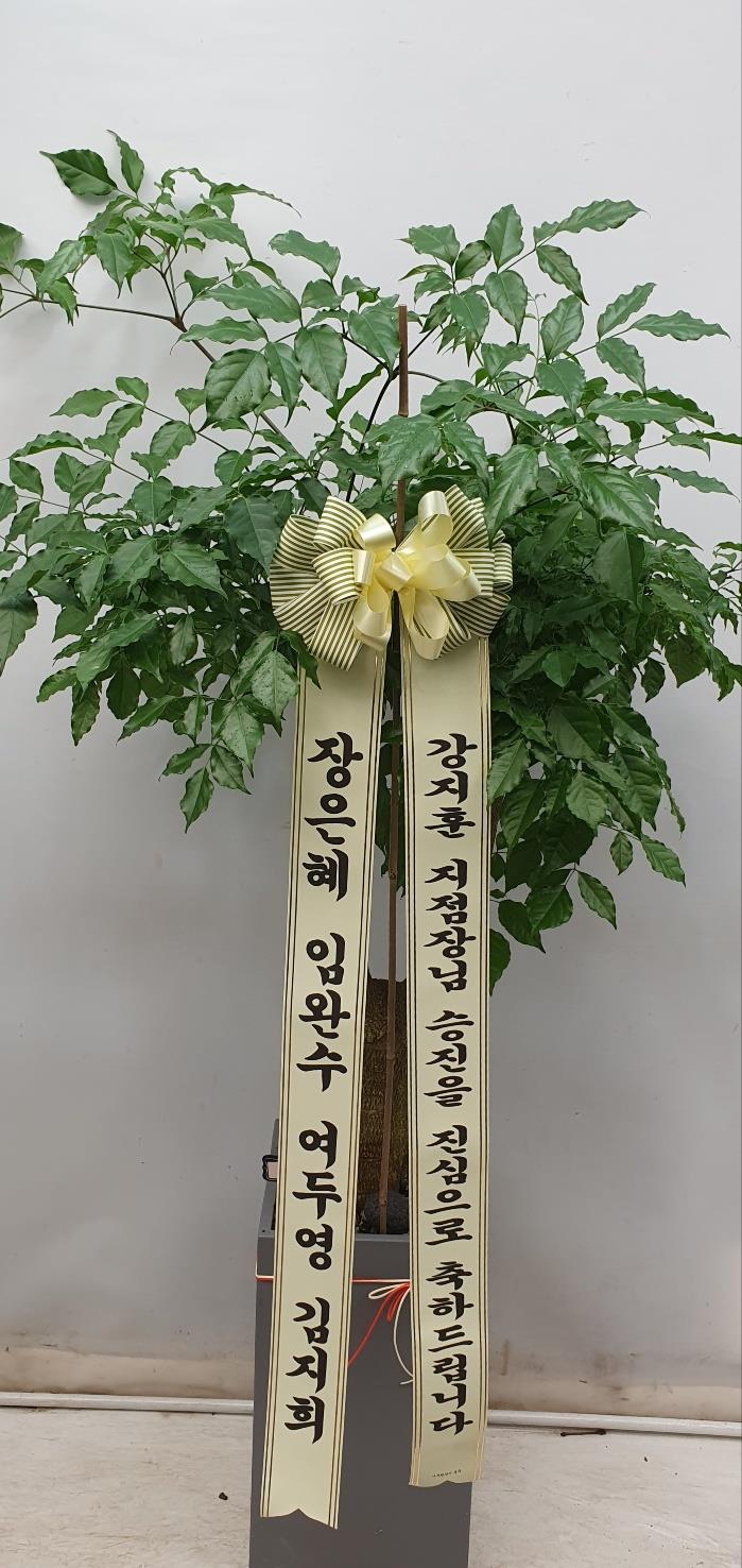 배송사진2
