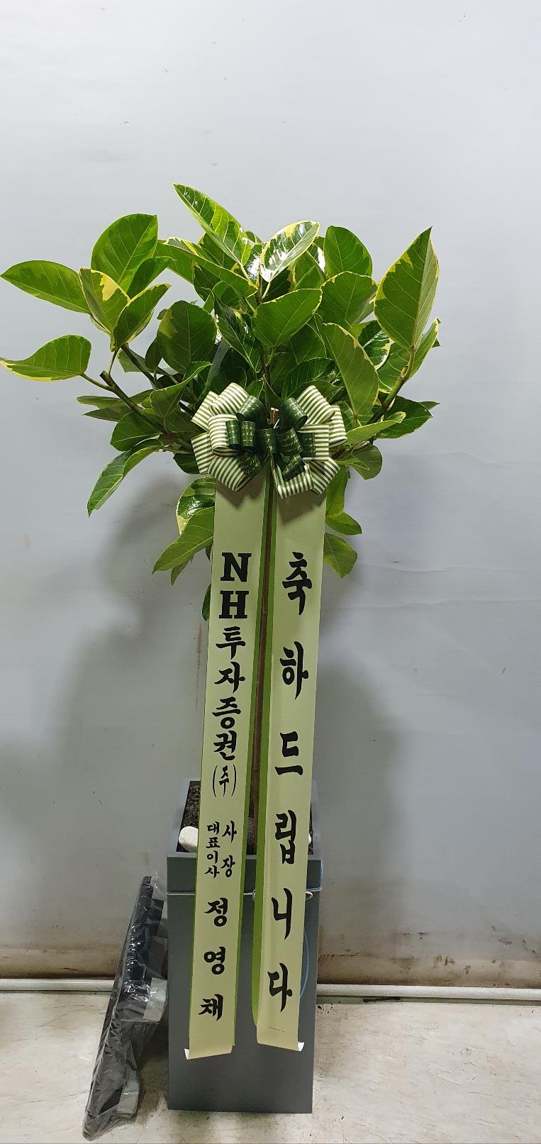 배송사진2