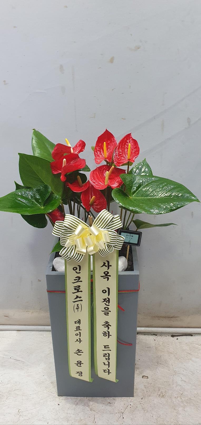 배송사진