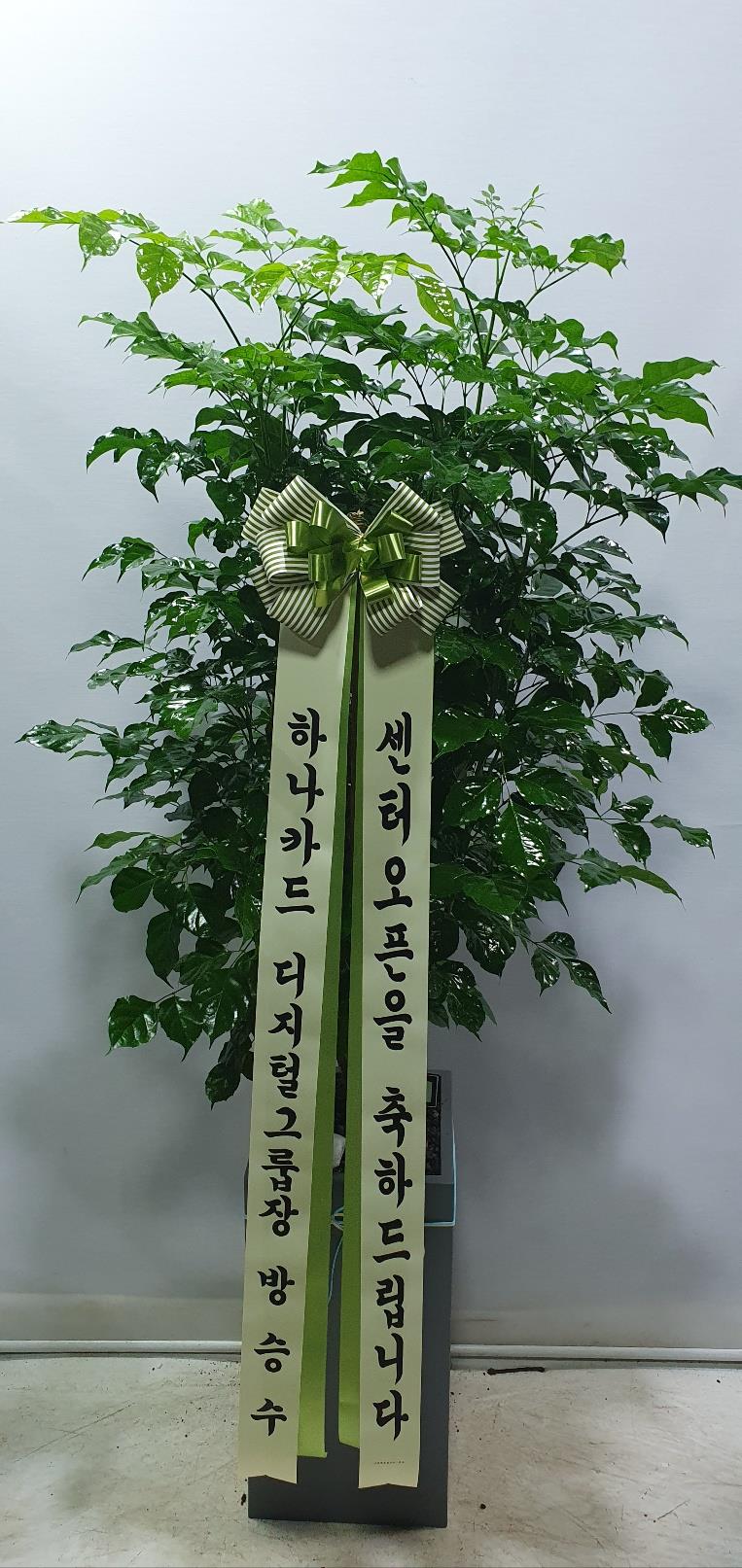 배송사진2