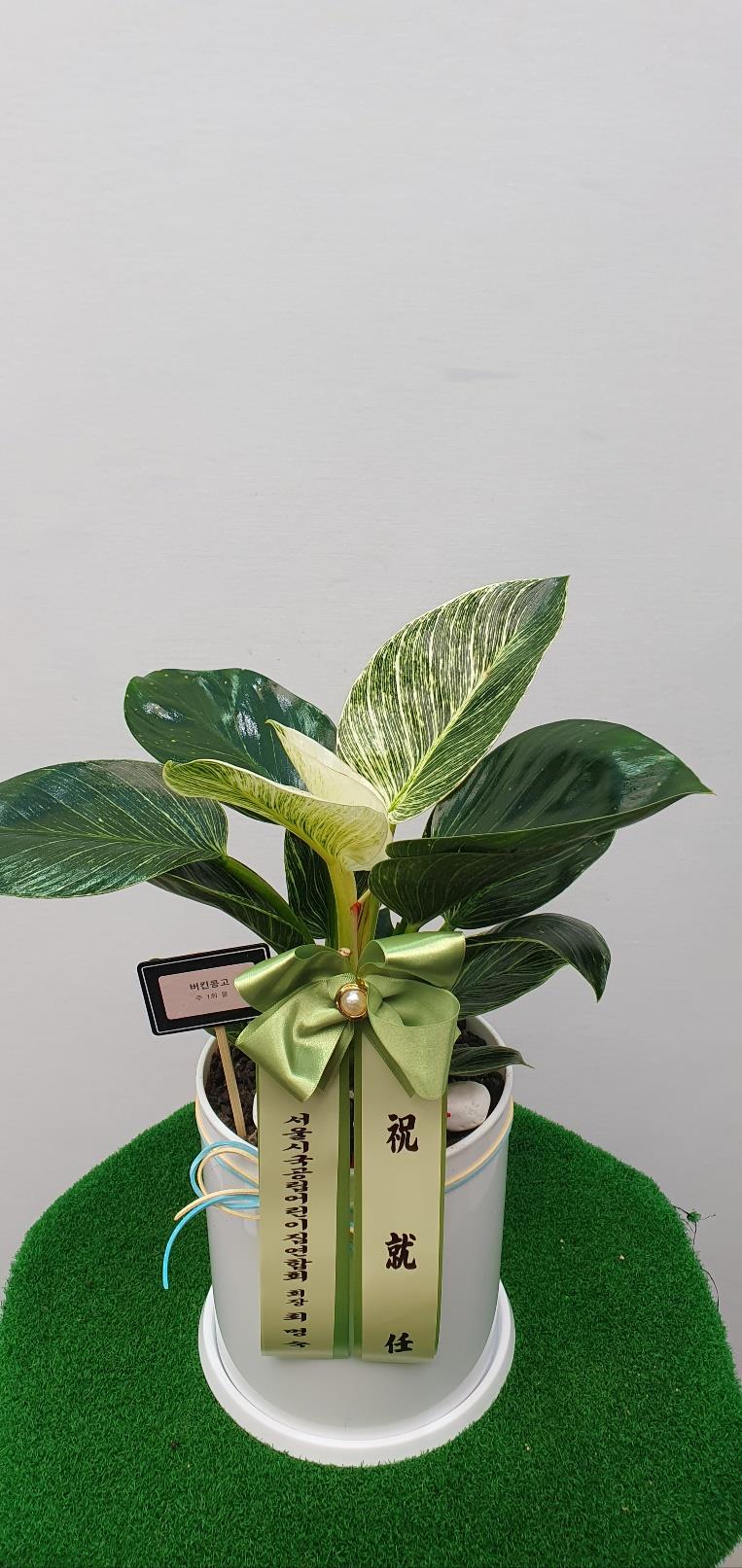 배송사진2