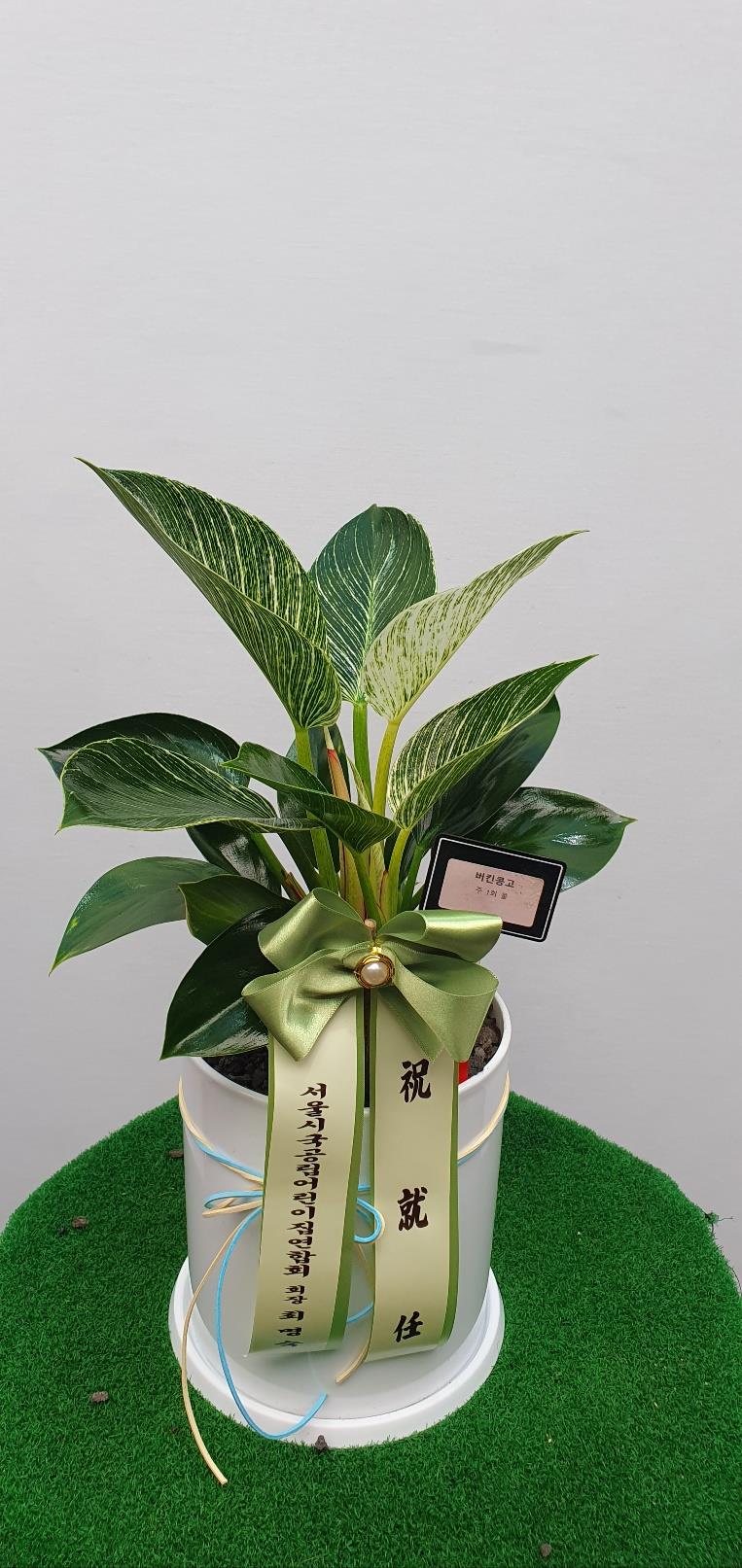 배송사진